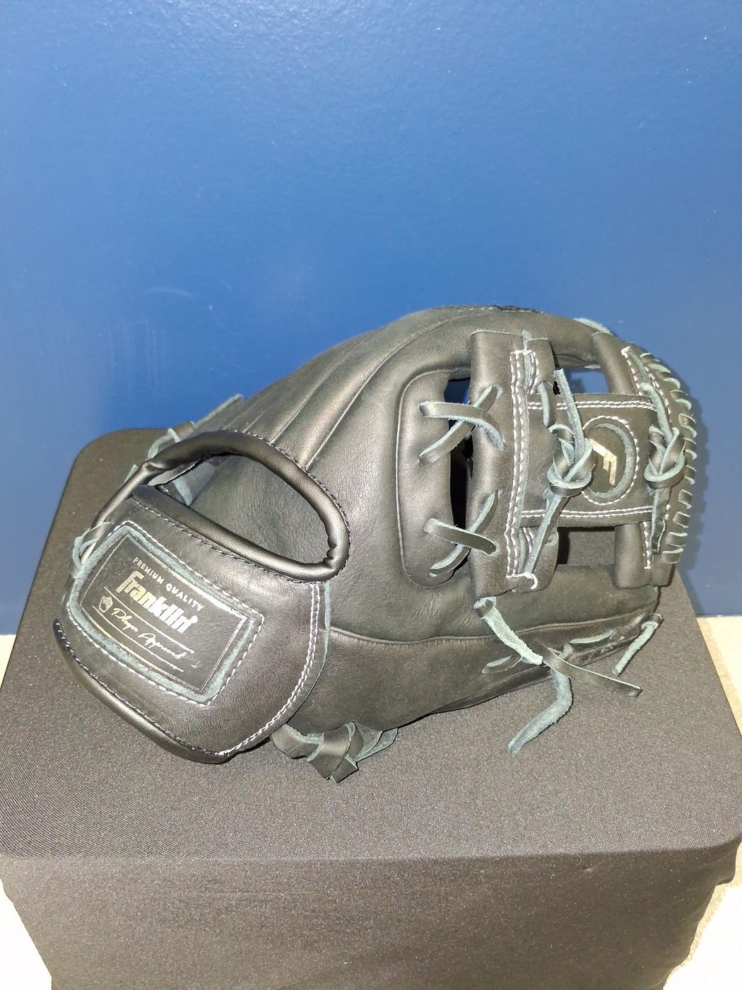 Franklin GT5000 web