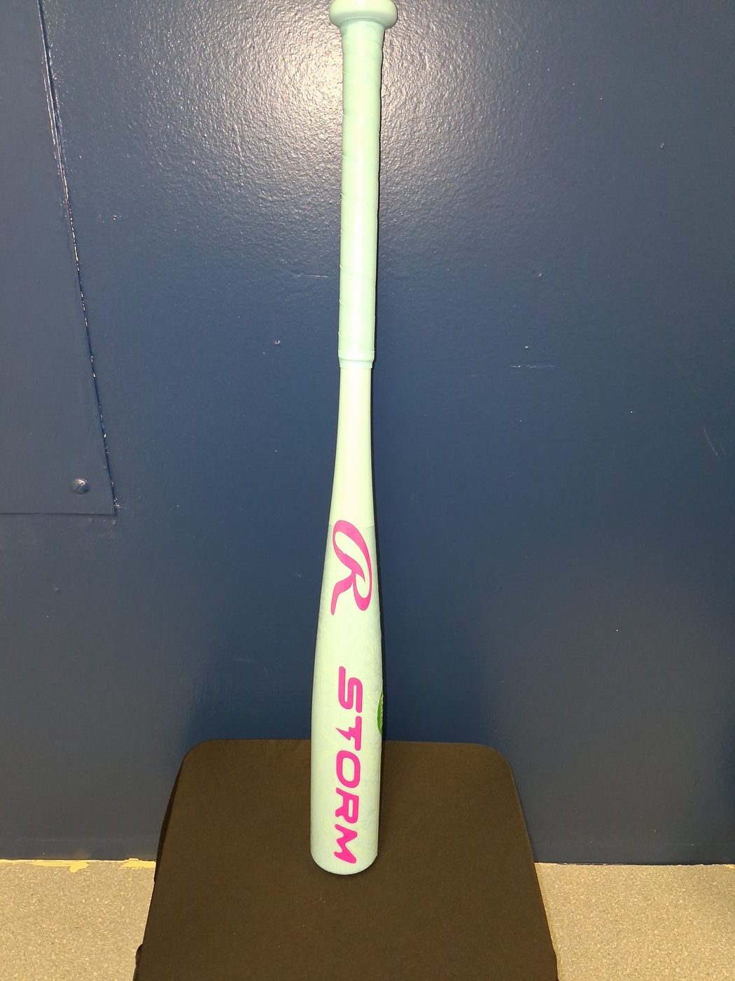 Storm Fastpitch Softball Bat