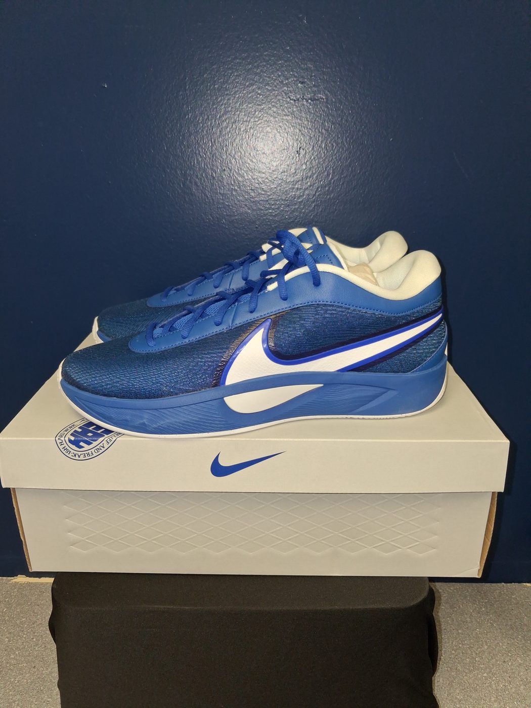 Nike Giannis Freak 6 TB
