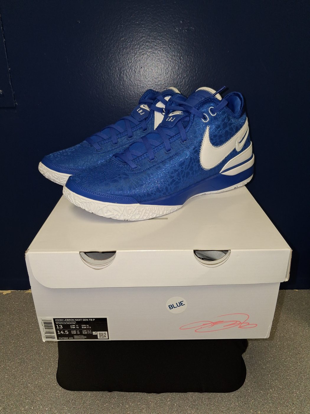 Nike LeBron NXXT Gen TB, side
