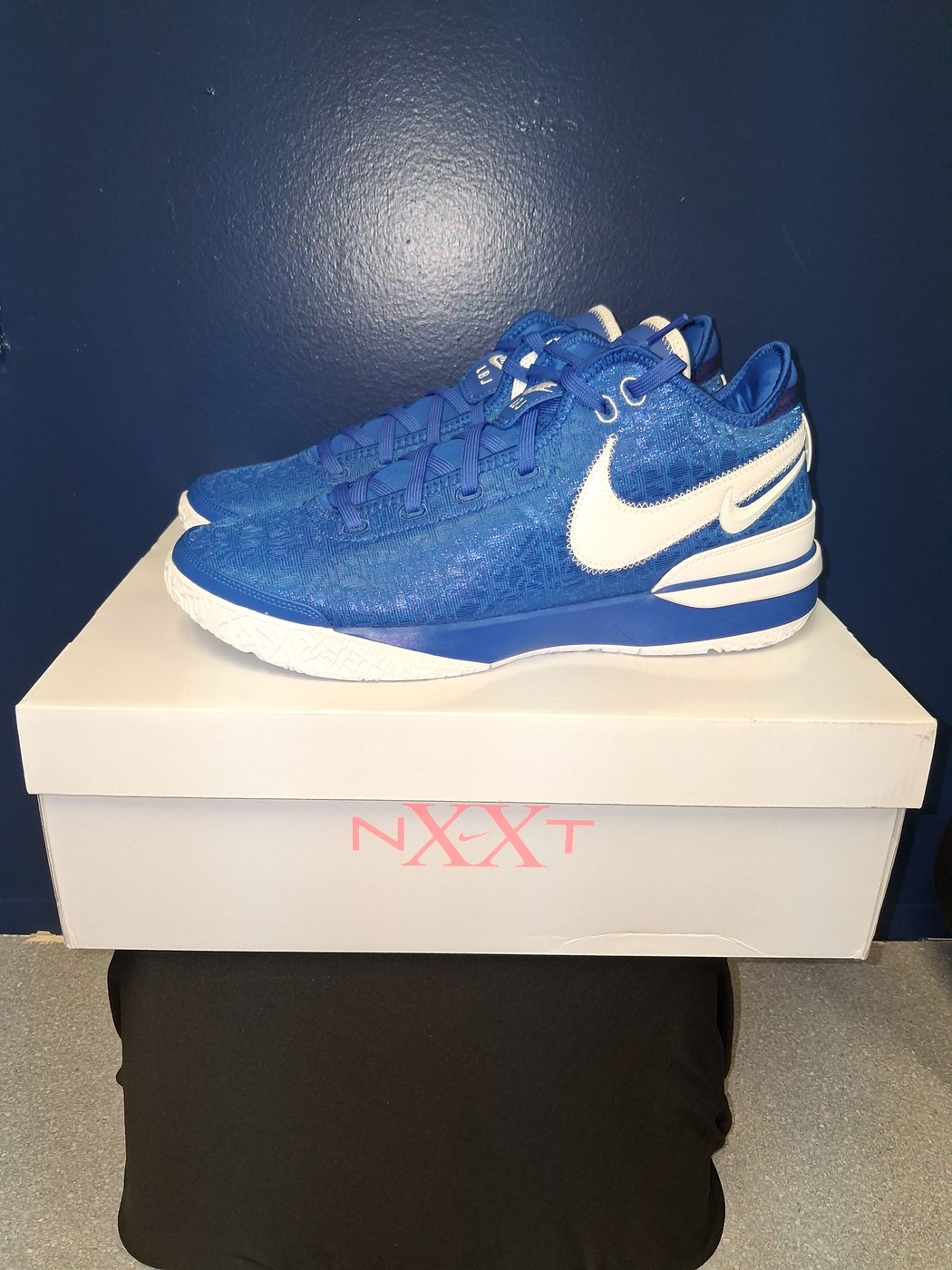 Nike LeBron NXXT Gen TB