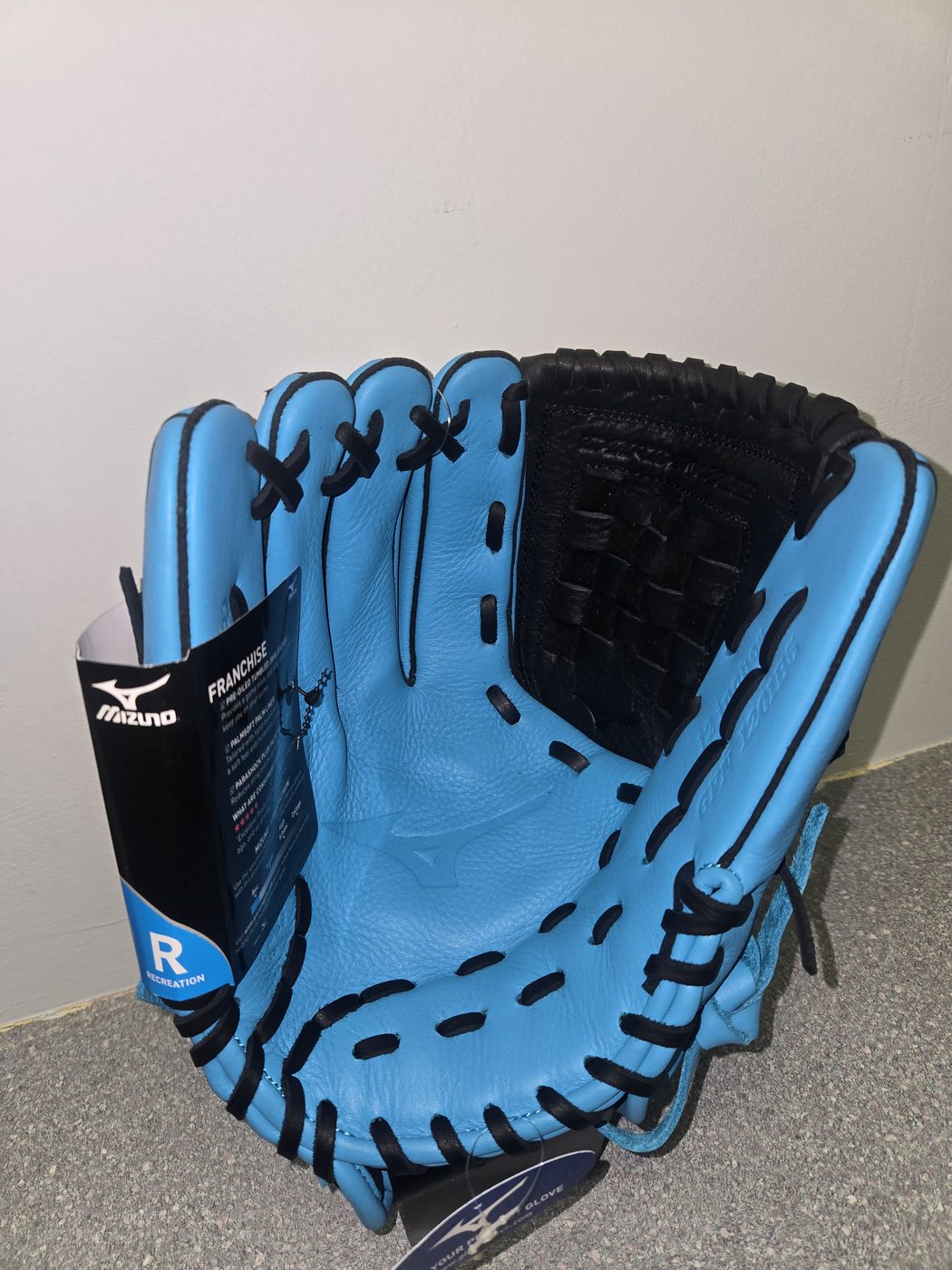Mizuno Franchise Sky 12" Glove, palm