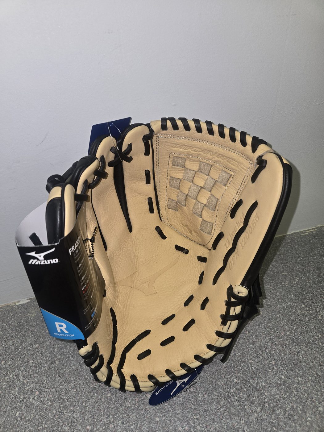 Mizuno Franchise 12" Glove, palm