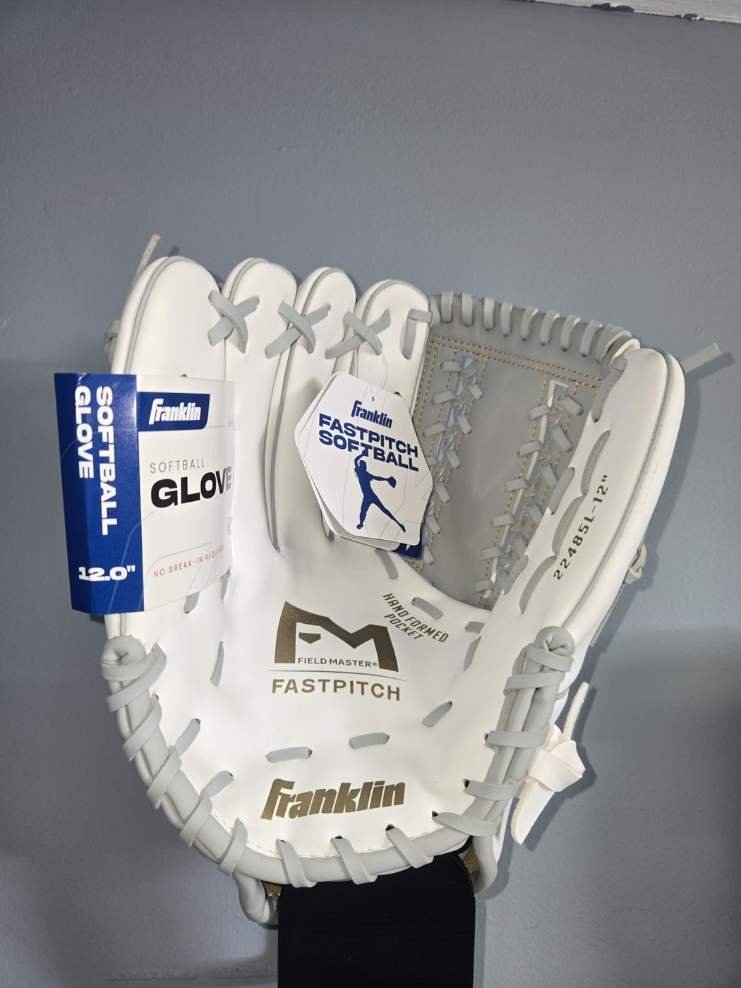 Franklin Field Master Fastpitch 12" Glove, palm